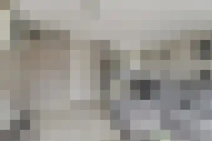Suite 5 Zwijndrecht thumbnail 9