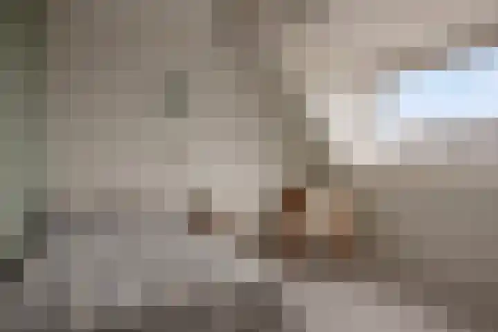 Suiteweg 3 Rosmalen thumbnail 33