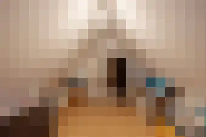 Suiteweg 3 Rosmalen thumbnail 35