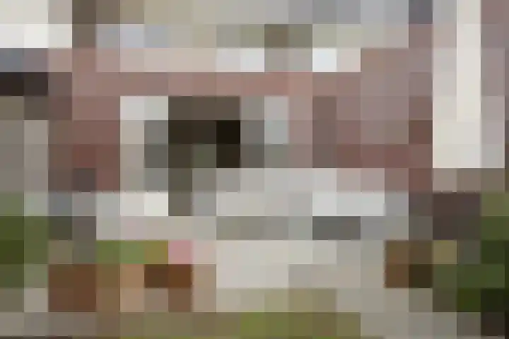 Suiteweg 3 Rosmalen thumbnail 37