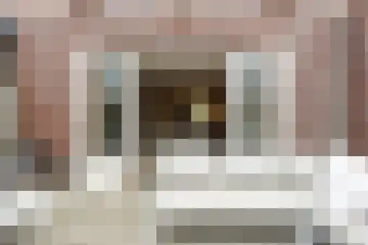 Suiteweg 3 Rosmalen thumbnail 38