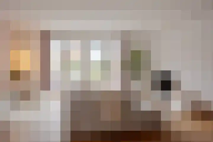 Suiteweg 3 Rosmalen thumbnail 6