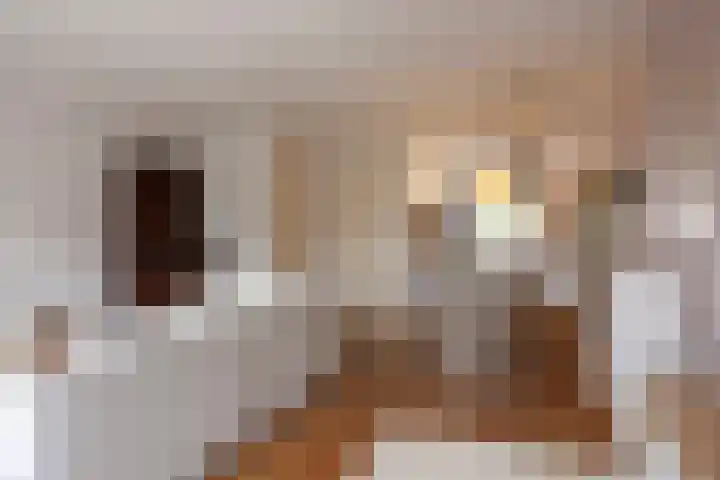 Suiteweg 3 Rosmalen thumbnail 9