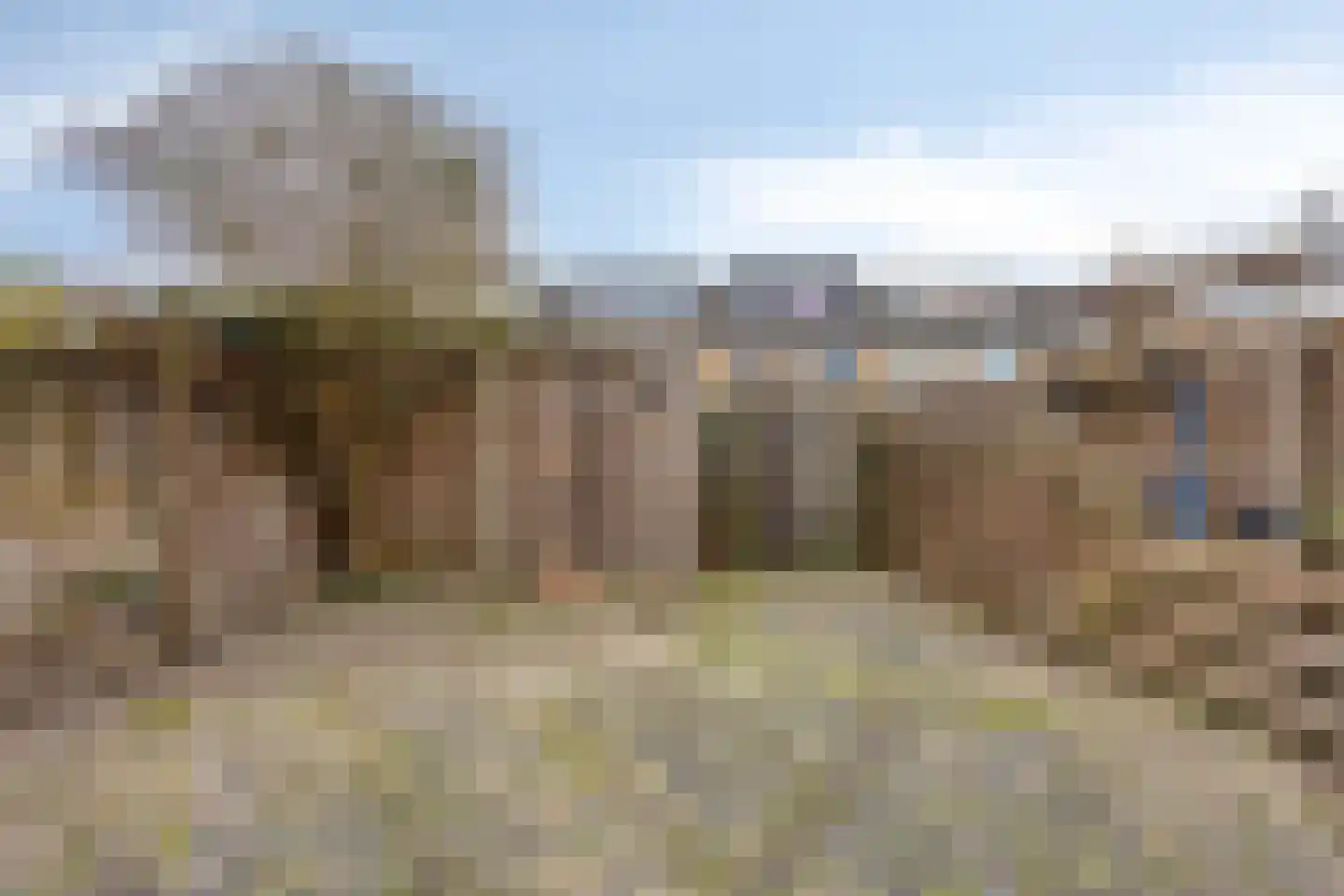 Sulawesi 19 Purmerend thumbnail 24