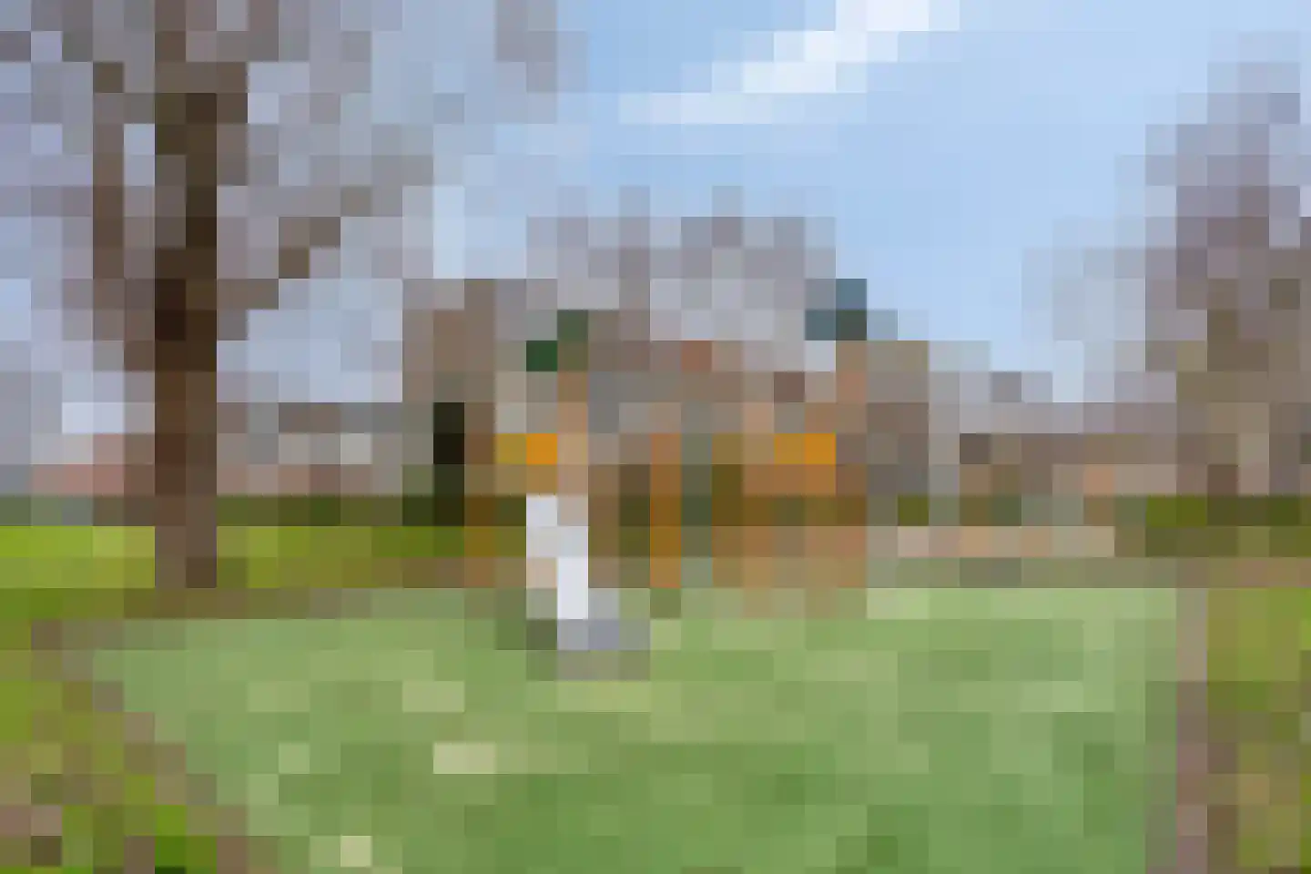 Sulawesi 19 Purmerend thumbnail 28