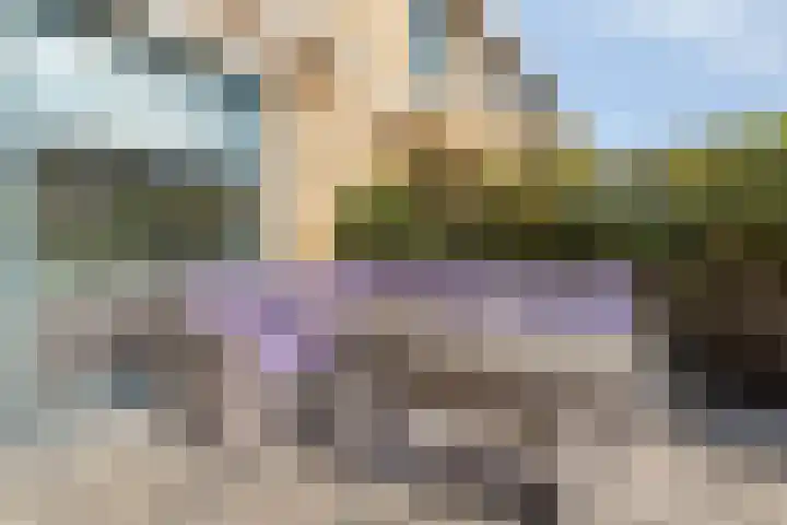 Sulawesi 25 Purmerend thumbnail 27