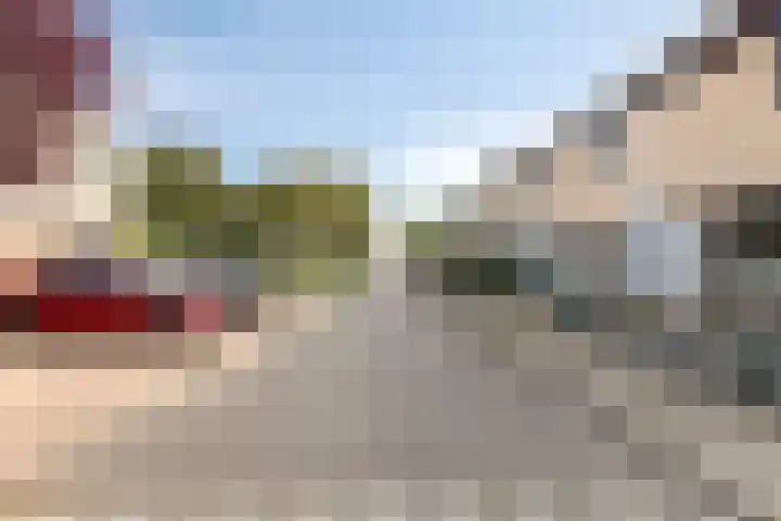 Sulawesi 25 Purmerend thumbnail 32