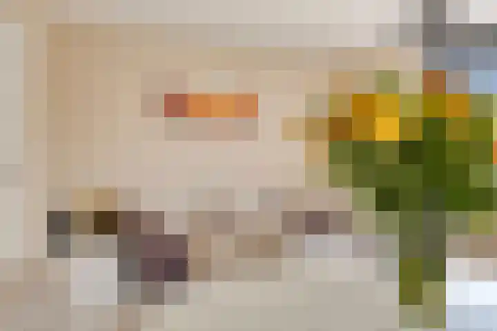 Sulawesi 25 Purmerend thumbnail 8