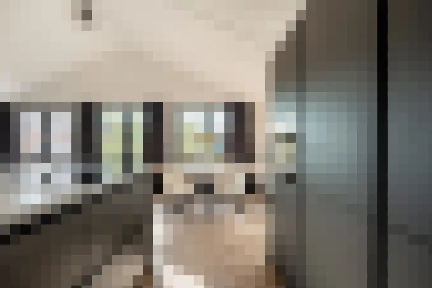 Sulky 10 Nootdorp thumbnail 8
