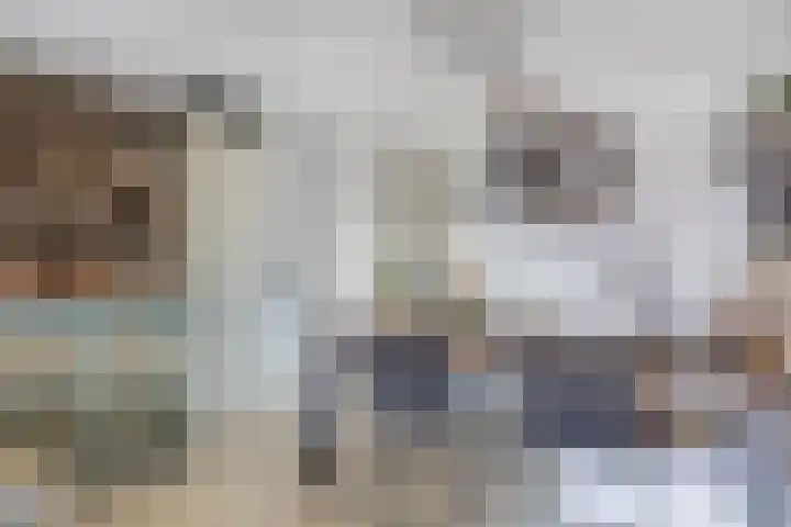 Sulky 11 Nootdorp thumbnail 12