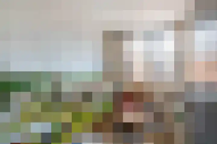 Sulky 11 Nootdorp thumbnail 24