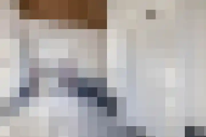 Sulky 11 Nootdorp thumbnail 26