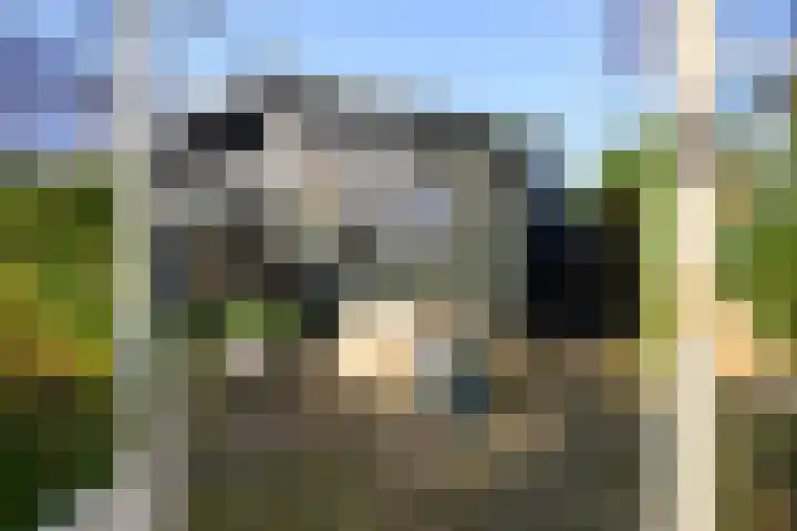Sulky 11 Nootdorp thumbnail 34