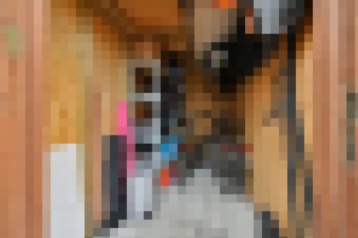 Sulky 2 Nootdorp thumbnail 32