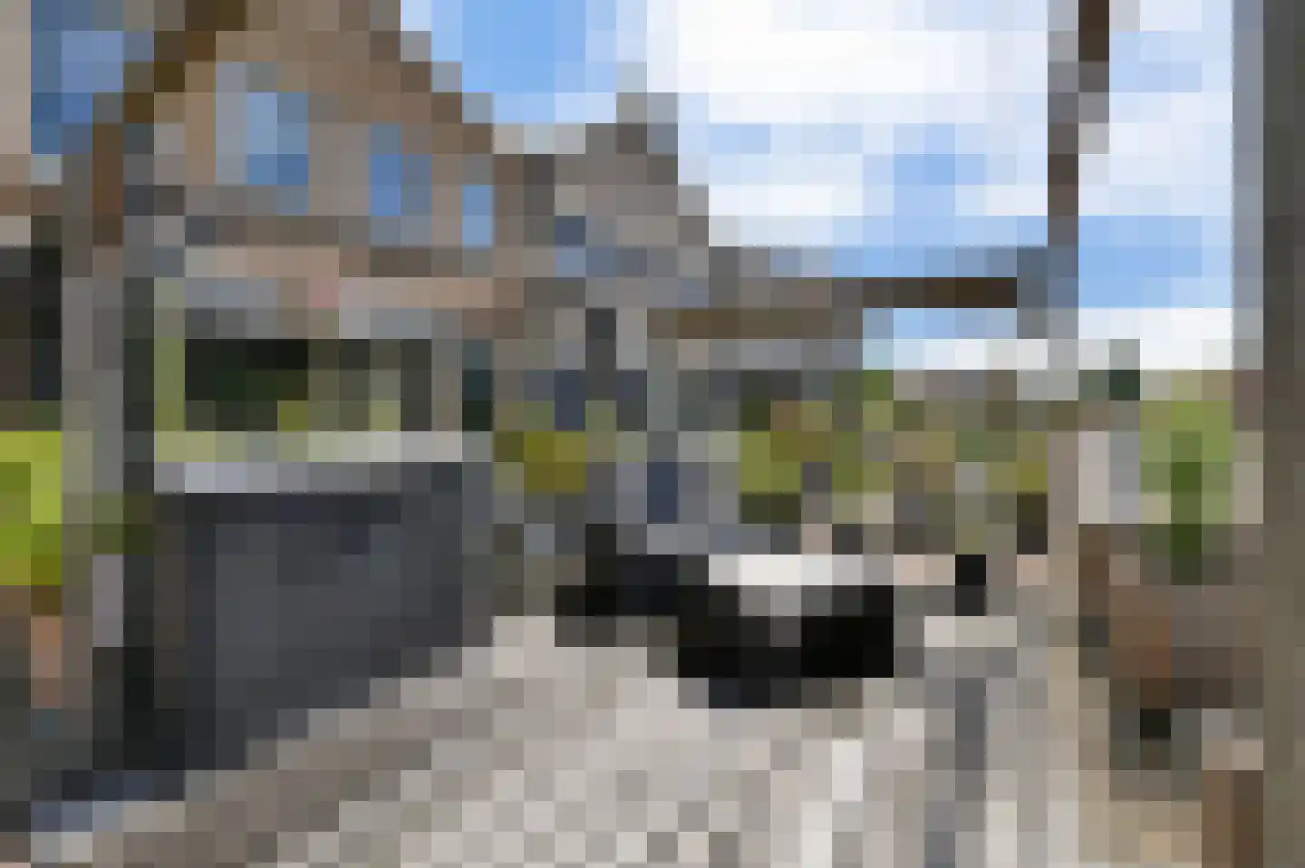 Sulky 2 Nootdorp thumbnail 4