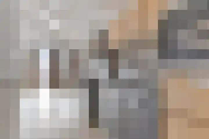 Sulky 6 Nootdorp thumbnail 20