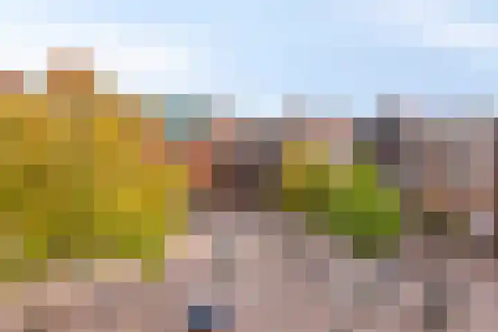 Sulky 6 Nootdorp thumbnail 36