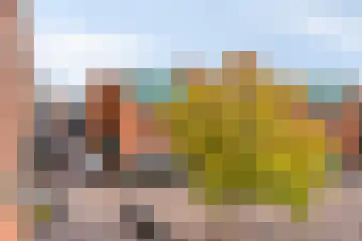 Sulky 6 Nootdorp thumbnail 37