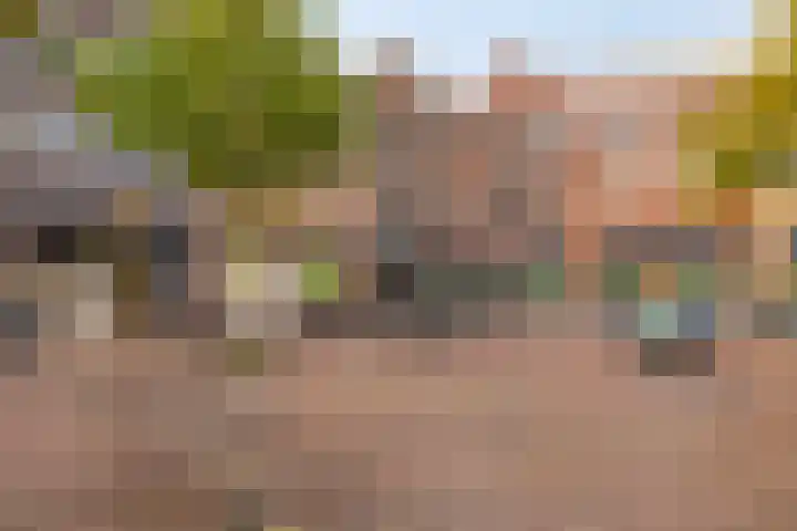 Sulky 6 Nootdorp thumbnail 38