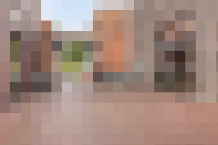 Sulky 6 Nootdorp thumbnail 7