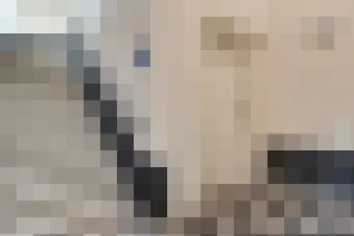 Sulky 6 Nootdorp thumbnail 9