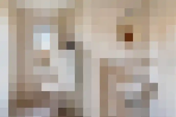 Sulkystraat 4 Kollum thumbnail 12