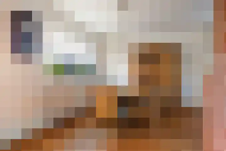 Sulkystraat 4 Kollum thumbnail 18