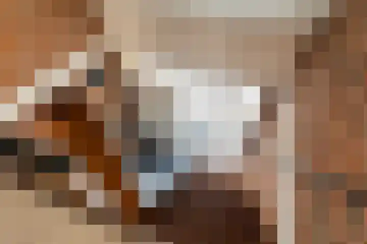 Sulkystraat 4 Kollum thumbnail 35