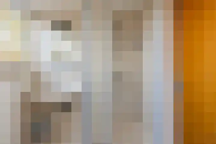 Sulkystraat 4 Kollum thumbnail 36