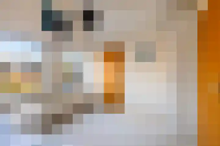 Sulkystraat 4 Kollum thumbnail 39