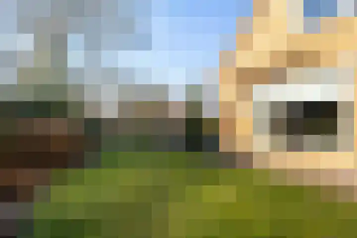 Sulkystraat 4 Kollum thumbnail 44
