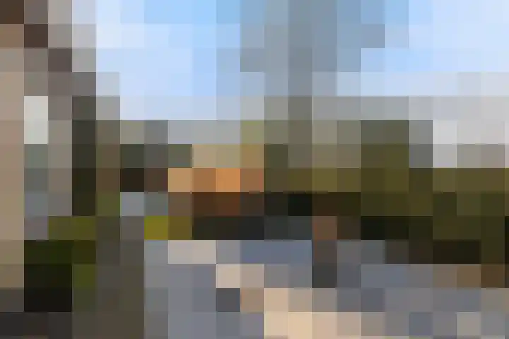 Sulkystraat 4 Kollum thumbnail 46
