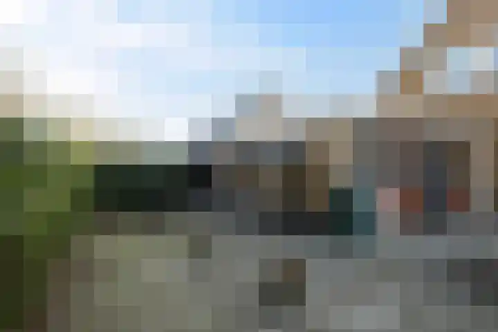 Sulkystraat 4 Kollum thumbnail 48