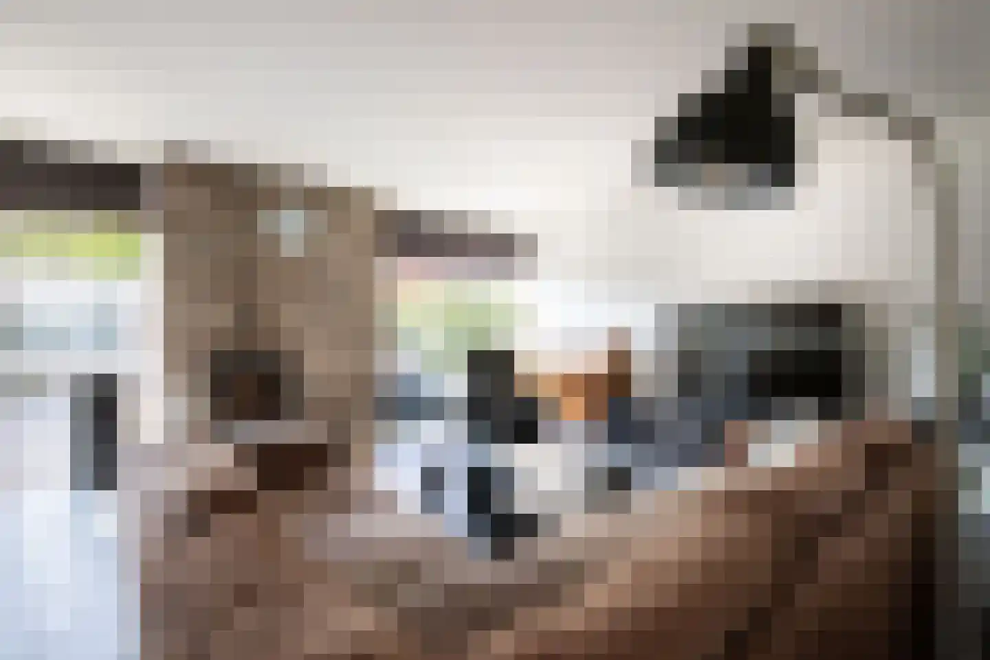 Sullivandreef 17 Tilburg thumbnail 12