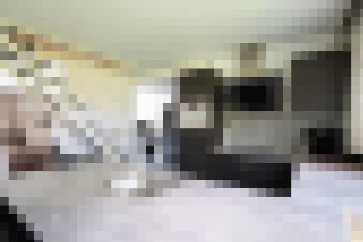 Sullivandreef 17 Tilburg thumbnail 17