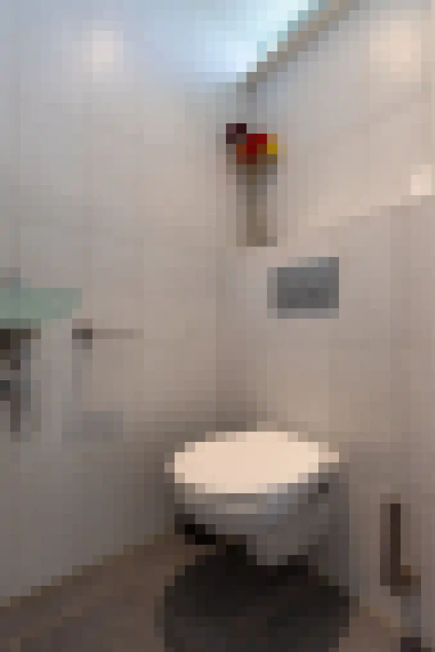 Sullivandreef 17 Tilburg thumbnail 8