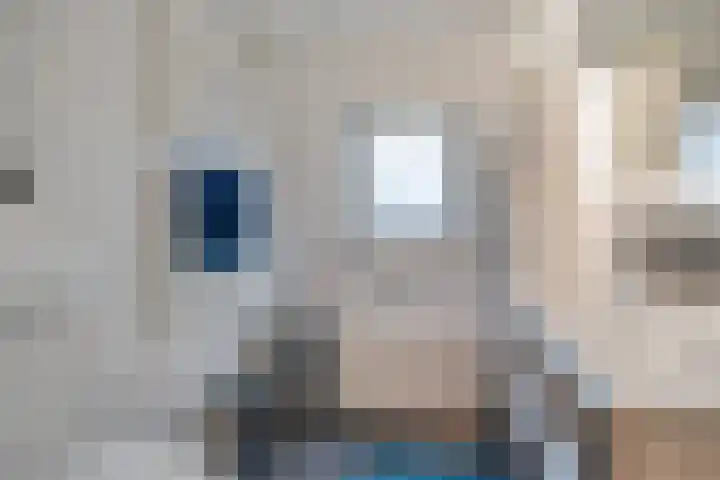Sullivanlijn 22 Zoetermeer thumbnail 33