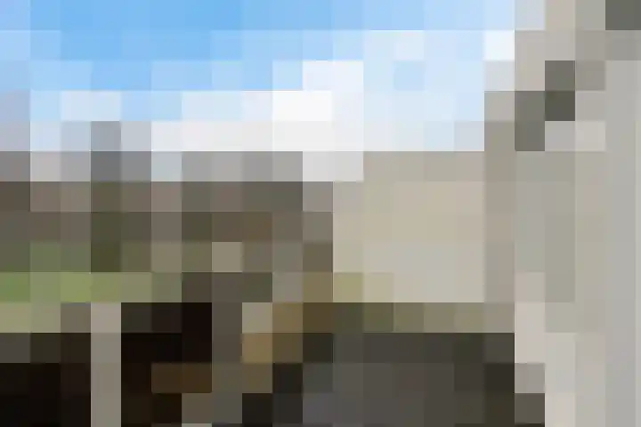Sullivanlijn 22 Zoetermeer thumbnail 40