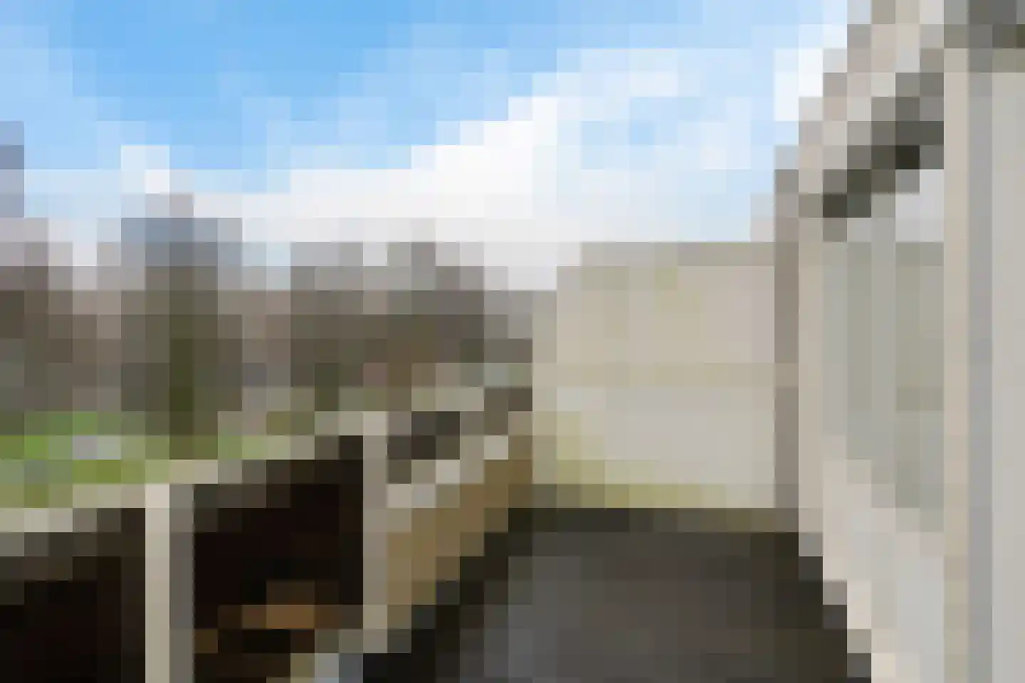 Sullivanlijn 22 Zoetermeer thumbnail 40
