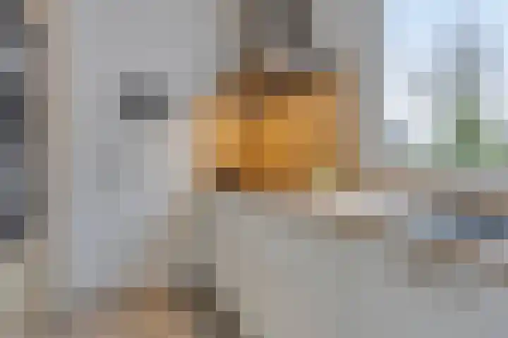 Sullivanlijn 24 Zoetermeer thumbnail 10