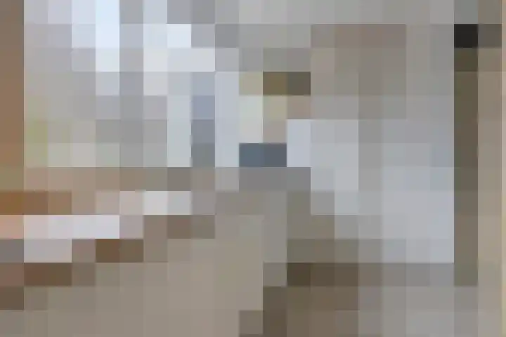 Sullivanlijn 24 Zoetermeer thumbnail 11