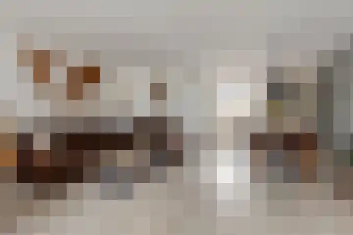 Sullivanlijn 24 Zoetermeer thumbnail 15