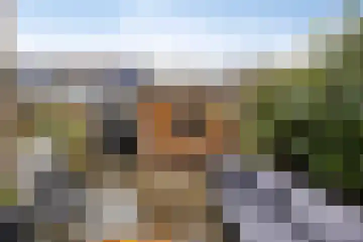 Sullivanlijn 24 Zoetermeer thumbnail 17