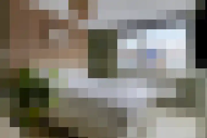 Sullivanlijn 24 Zoetermeer thumbnail 20