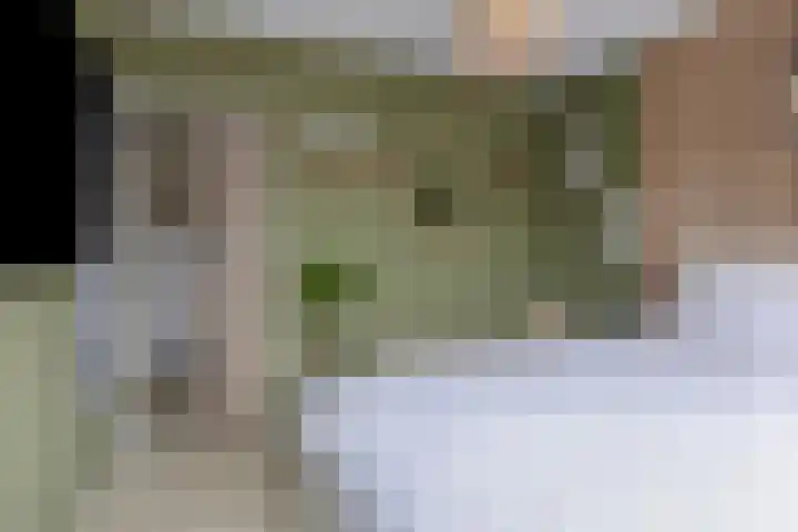 Sullivanlijn 24 Zoetermeer thumbnail 21