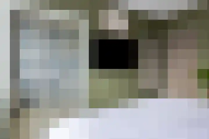 Sullivanlijn 24 Zoetermeer thumbnail 22