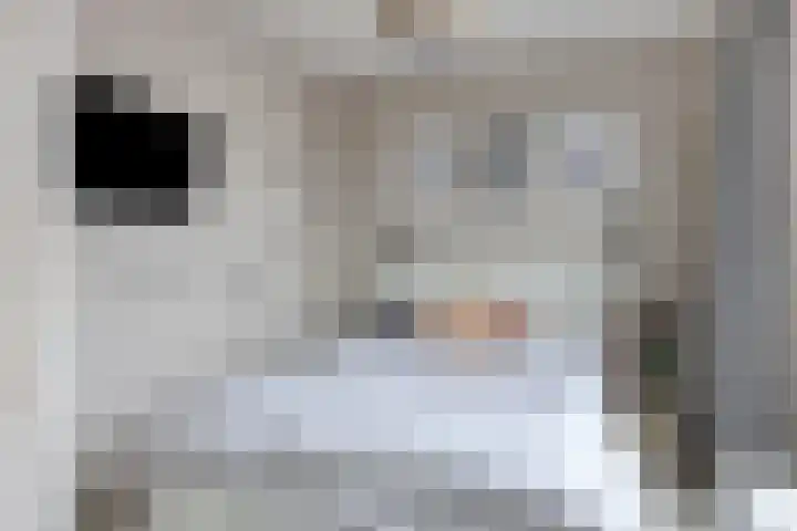 Sullivanlijn 24 Zoetermeer thumbnail 28