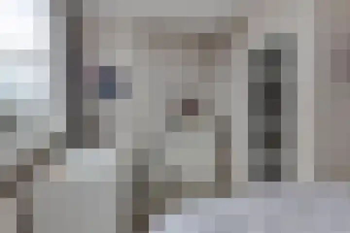 Sullivanlijn 24 Zoetermeer thumbnail 29