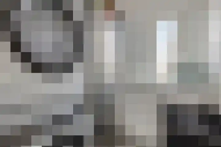 Sullivanlijn 24 Zoetermeer thumbnail 35