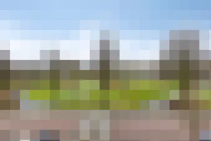 Sullivanlijn 24 Zoetermeer thumbnail 38